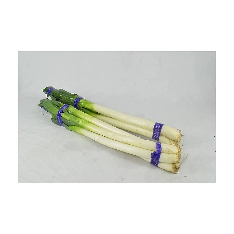 
The Best Quality Organically Grown Natural Green Onions, Suitable for Eating Green Onions 