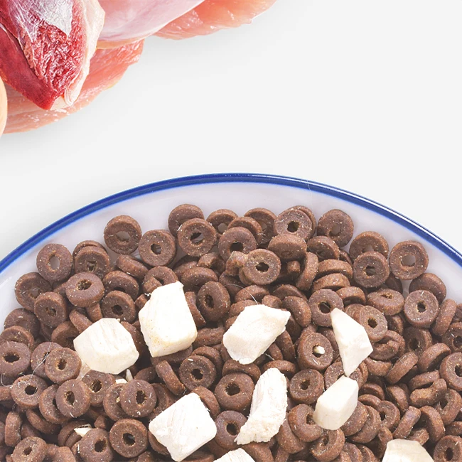 OEM ODM China pet food and snack supply wholesale factory manufacturer easy to digest Grain free dry kitten cat food (ice fresh)