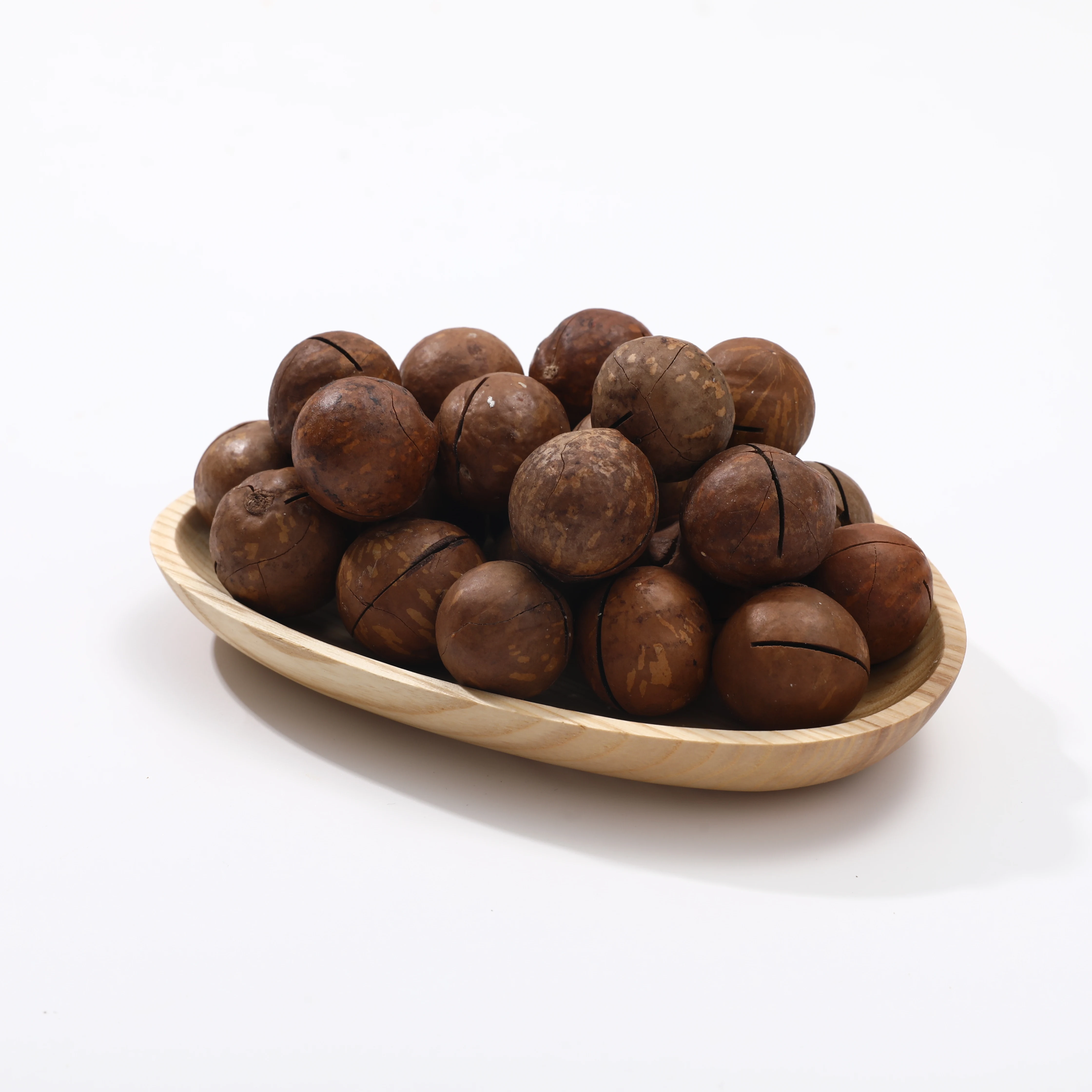 China Origin Milky Flavor   Roasted  Nuts Macadamia Nuts With Shell