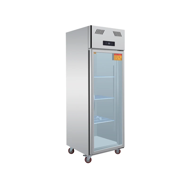 New Arrival display freezer for supermarket single door ice cream display freezer plug in showcase freezer