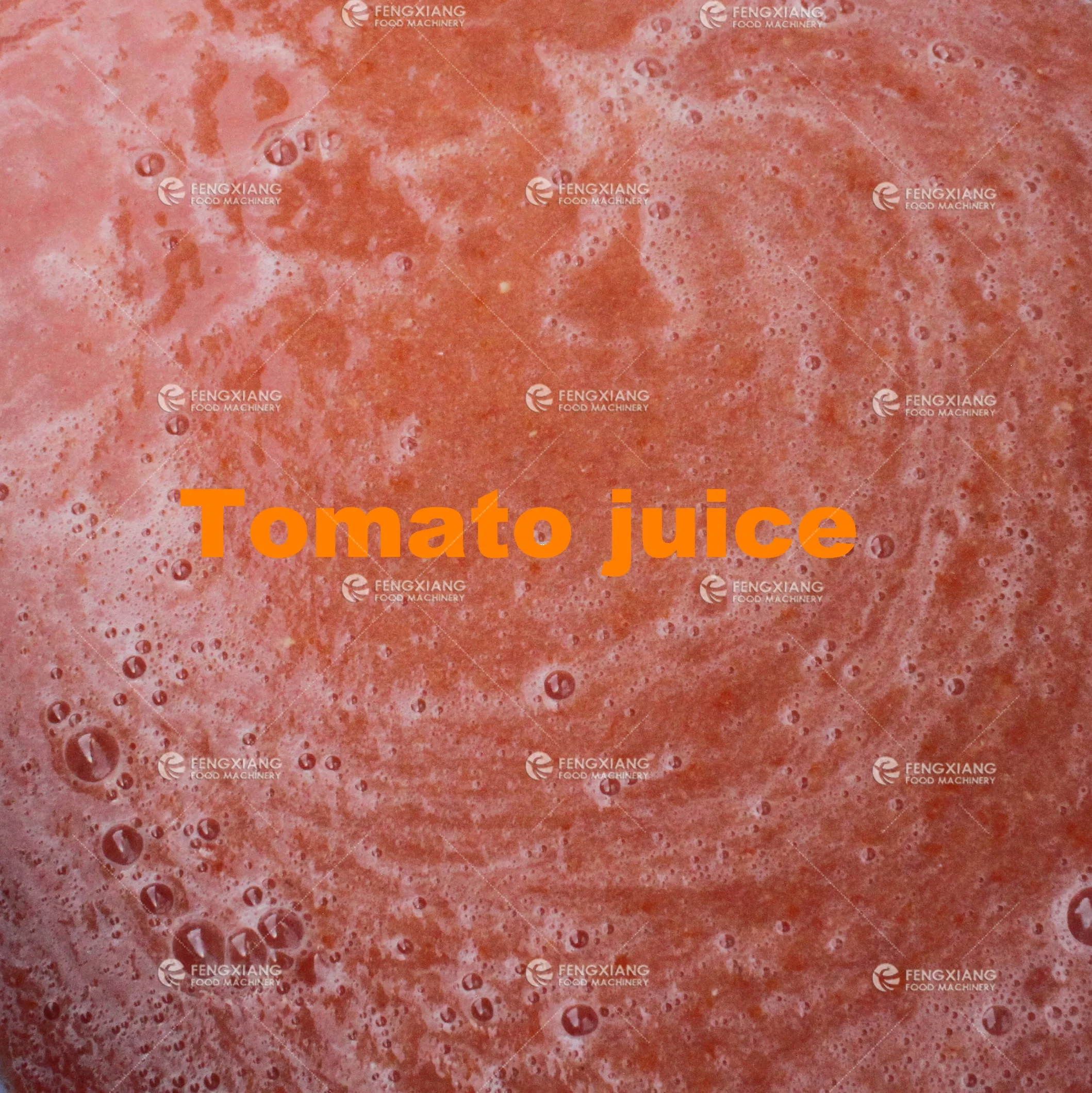 Tomato Paste Making Grinding Machine, Fruit Vegetable Juice Extractor Blender Machine