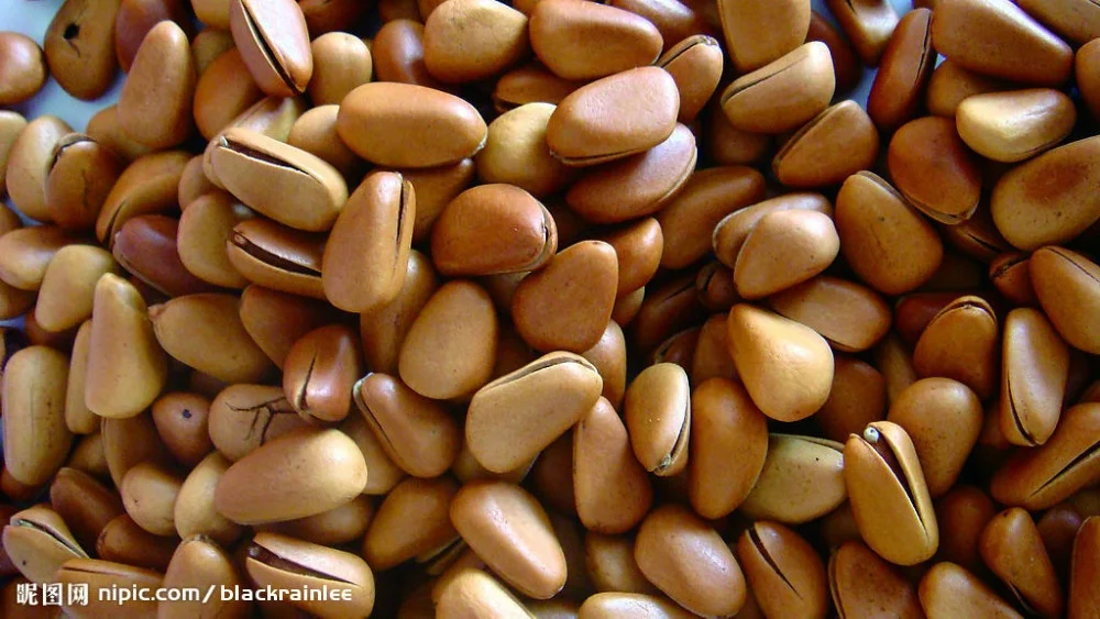 pine nut automatic weighing packing machine vacuum packing machine weigher packing machine