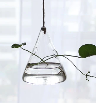 Free Shipping Metal Frame Air Plants Succulent Planters Large Terrarium Hanging Glass Vase