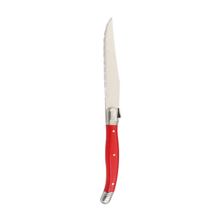Fashion different color handle laguiole steak knife
