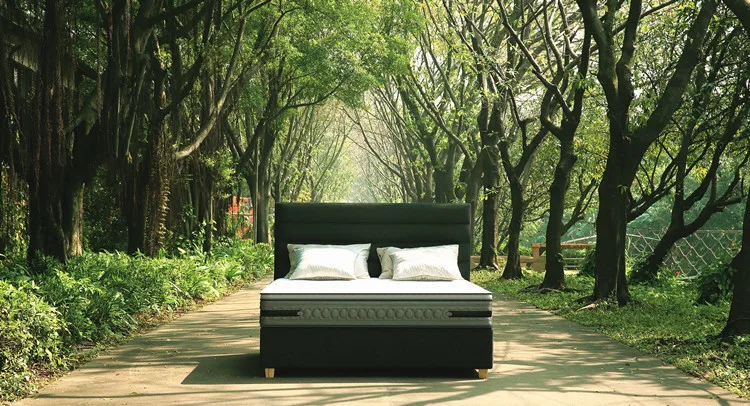 High quality bedbug proof  Queen Size Polyester Spandex   Mattress Cover Waterproof