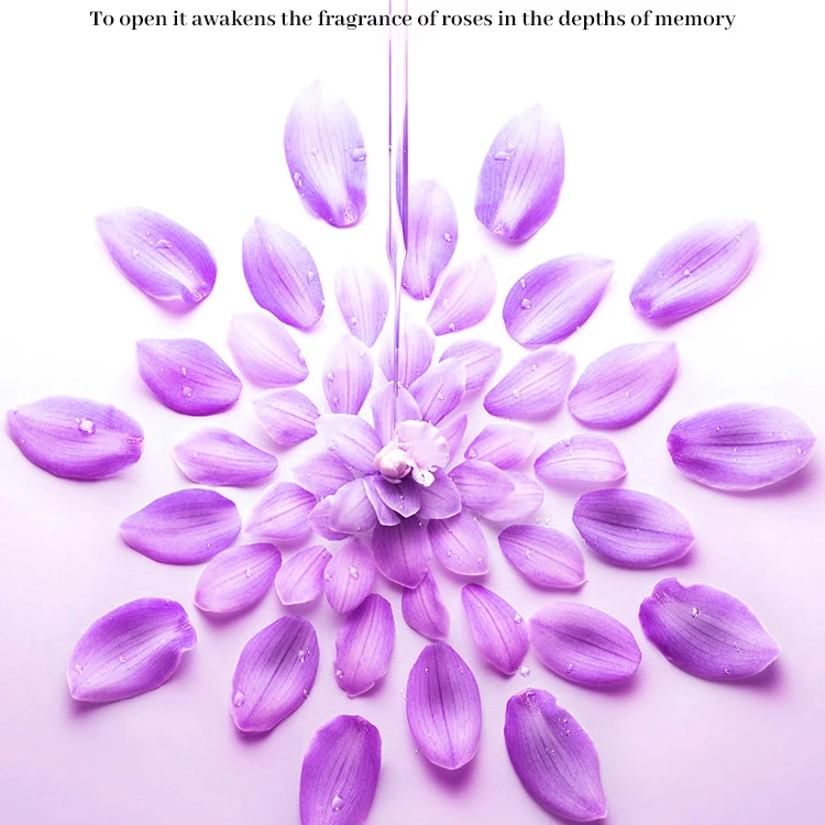 6pcs Rose Extract lasting perfume Shampoo shower gel lotion Set Custom Fragrance Bath Spa Gift Set