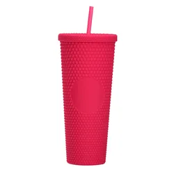Wholesale 2022 24oz/16oz Reusable Tumbler Double Summer Wall Plastic Matte Straight Cups With Lid and Sraw