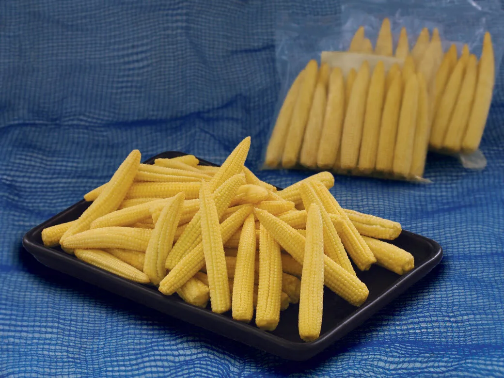 Wholesale Organic Frozen baby corn with cheap price from Agenas co.ltd Viet Nam