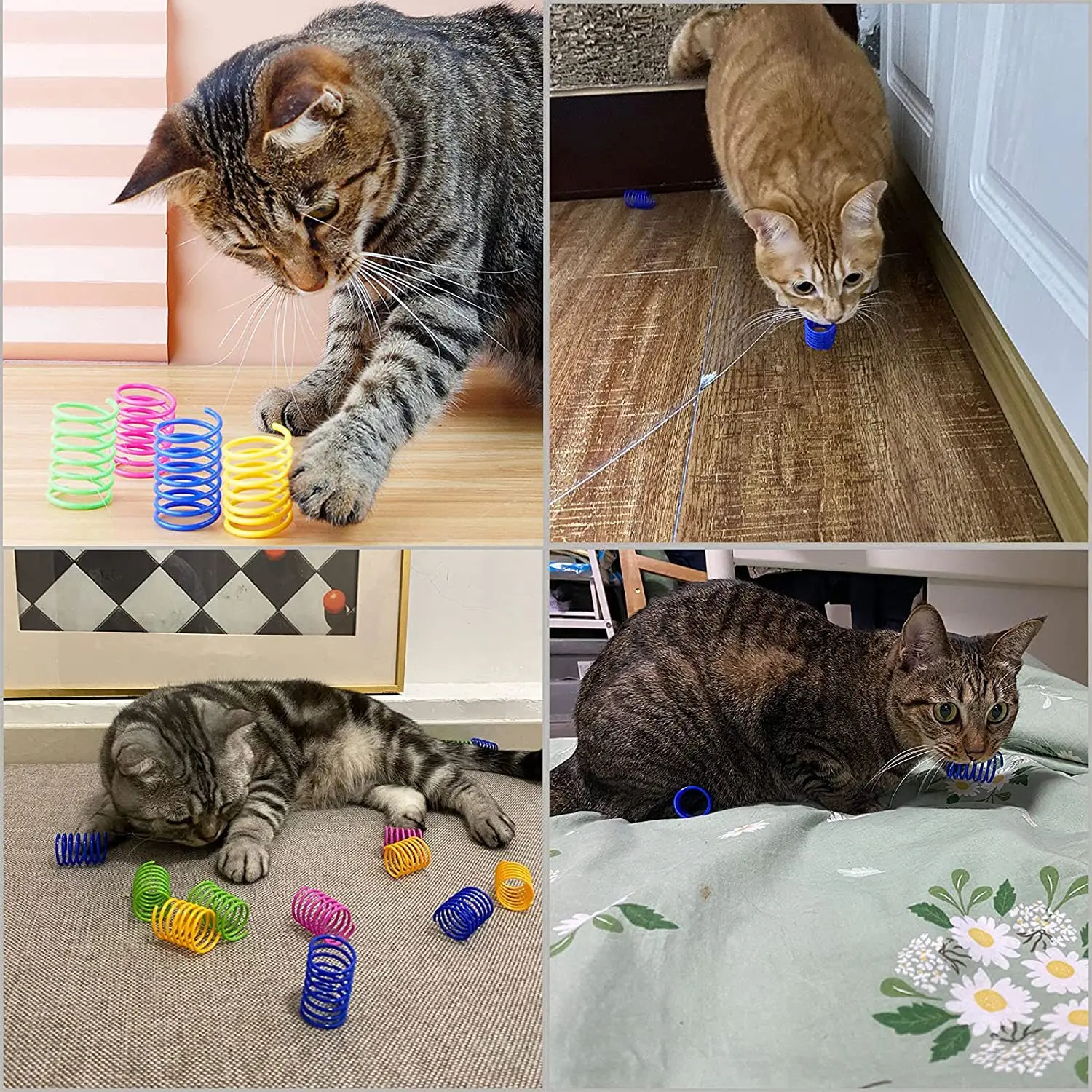 Playful Indoor Cat Spiral Spring Keep Fit Interactive Durable Plastic Colorful Interactive Cat Spring Toys
