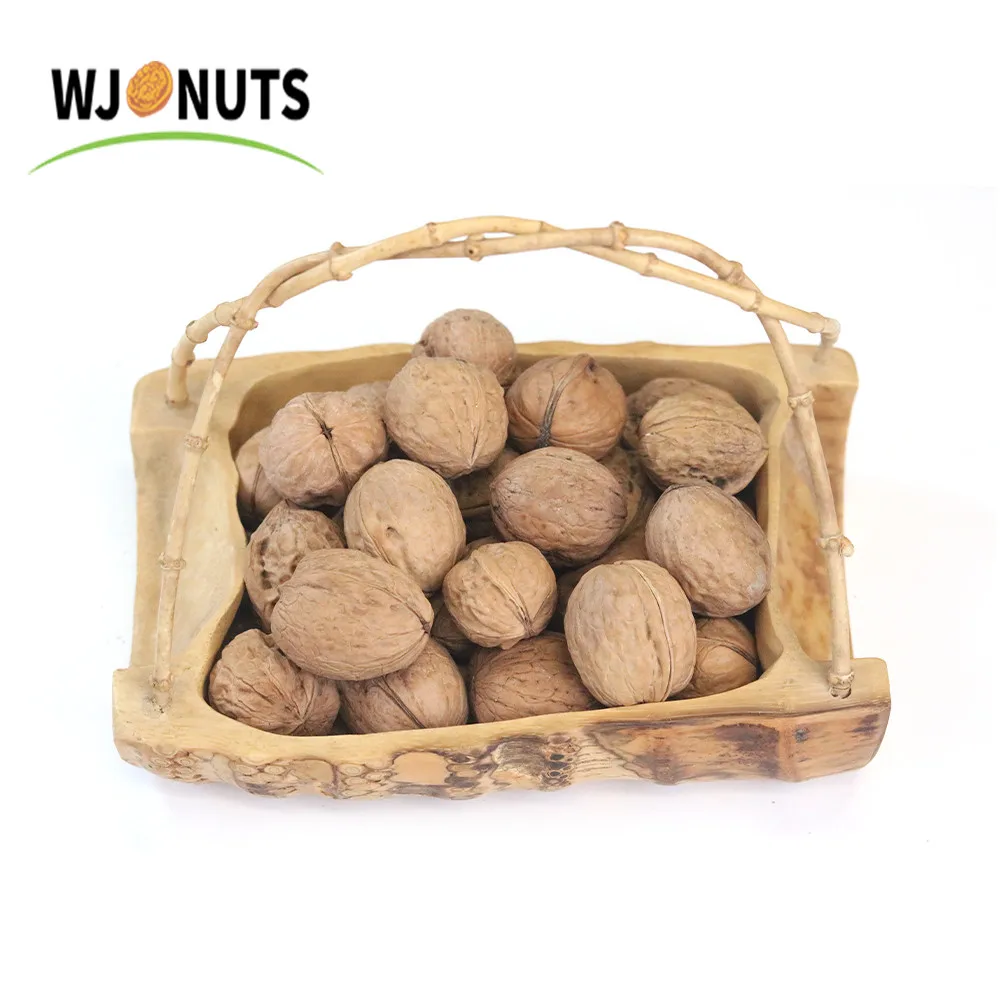 Factory wholesale customized dry fruit fresh organic walnuts type 33