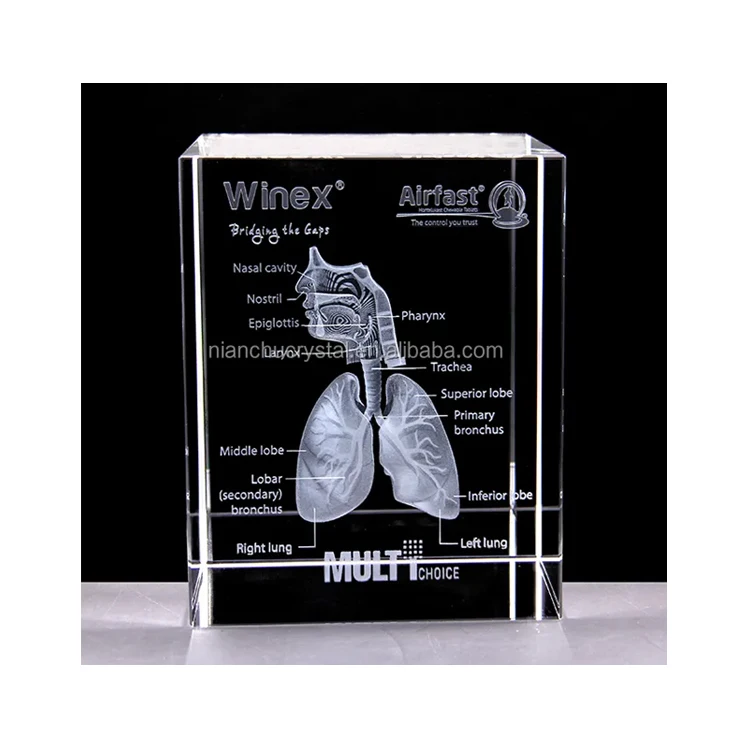 Cheap Crystal Laser Etched Respiratory System Rectangular K9 3d Laser Engraved Glass Block