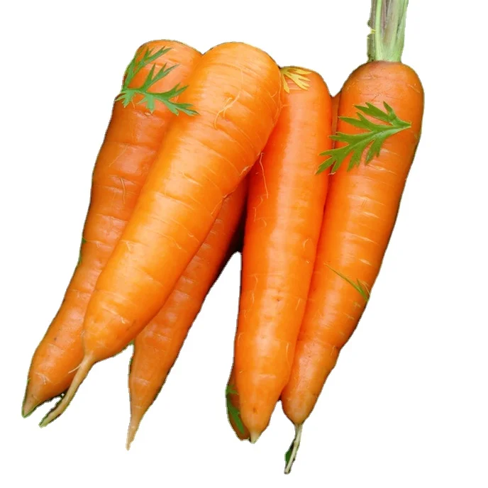 Свежая морковка из Турции