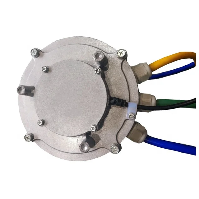 Brushless DC motor 60V 3000W Passengers Cargo Electric Tricycle BLDC Motor