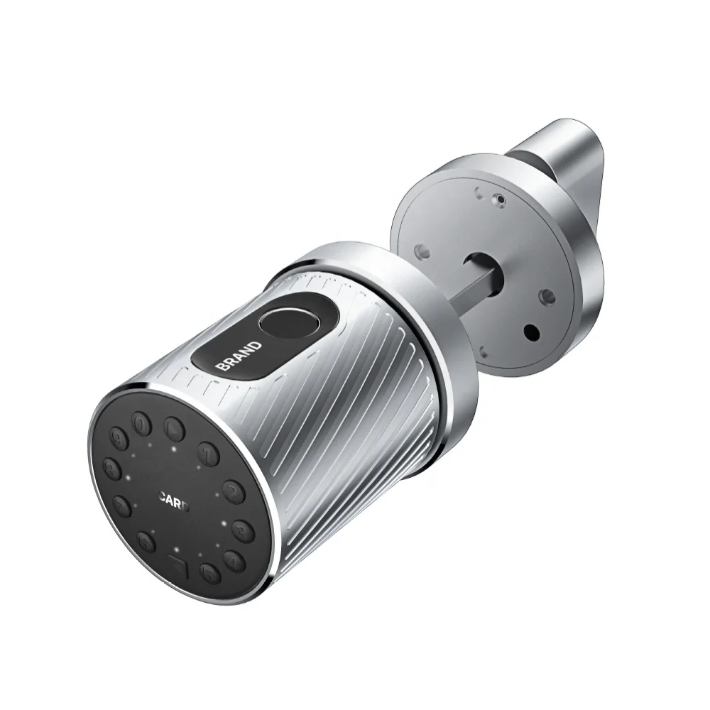 Safe Modern Knob Door Lock Smart Fingerprint TTLock  Door Locks  Without Handle