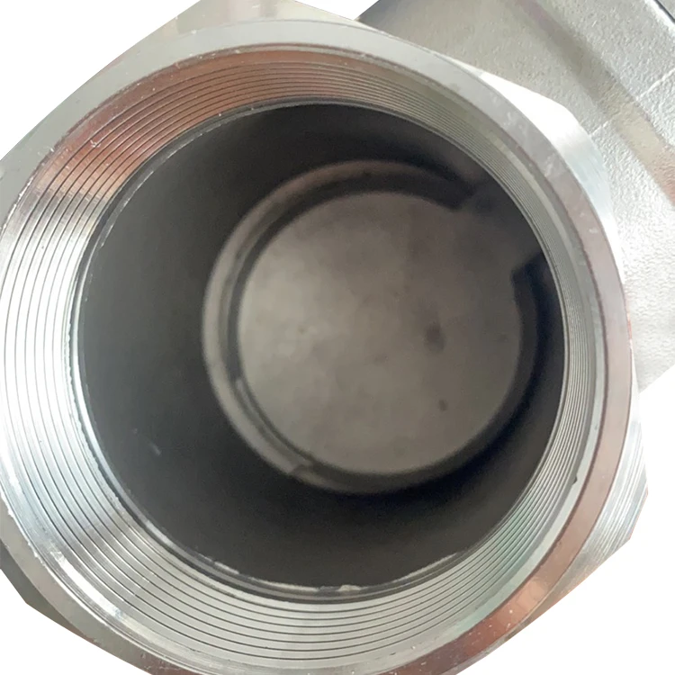 DN15 1/2in поворотные концы резьбы обратного клапана PN16