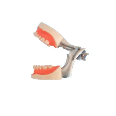 BIX-L1015 хороший материал яркий обучающий оральный окклюдер