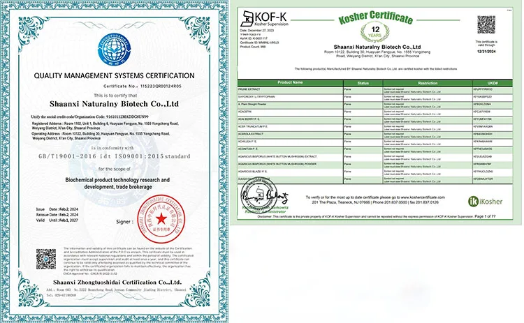 Hot Sale Pure Moringa Oleifera Seed Extract Best Price