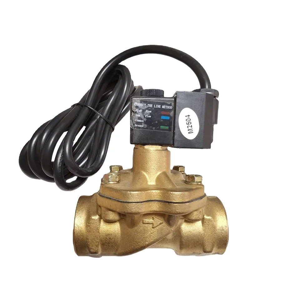 110V/220V --- Solenoid Valve