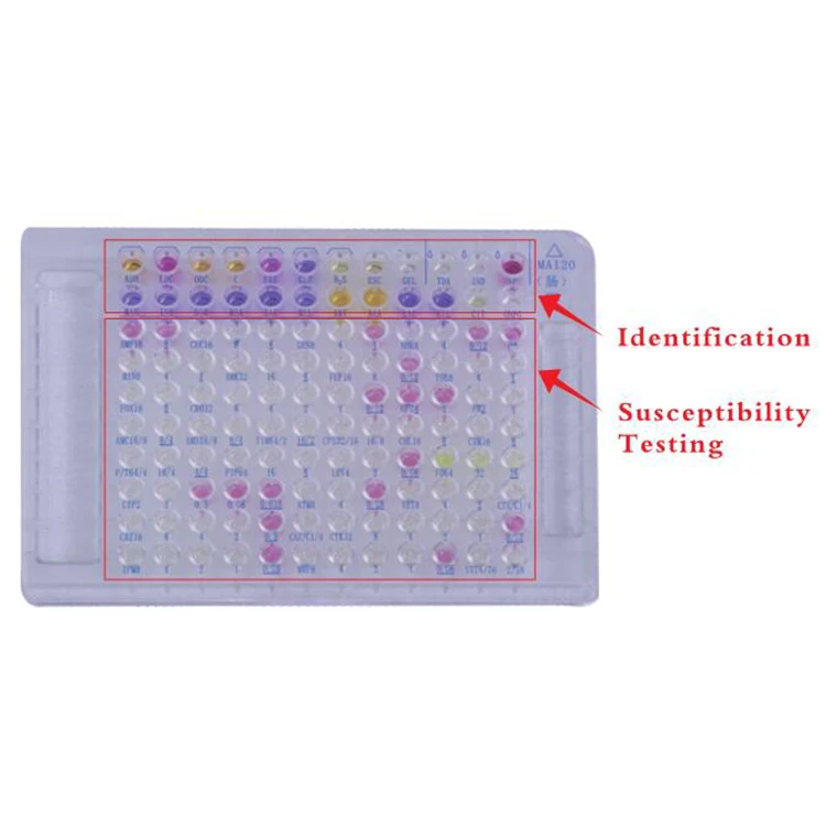 Manufacturer Direct Sale Streptococcus Conis-Enterococcus Microbial Identification And Ast Test Card Kit