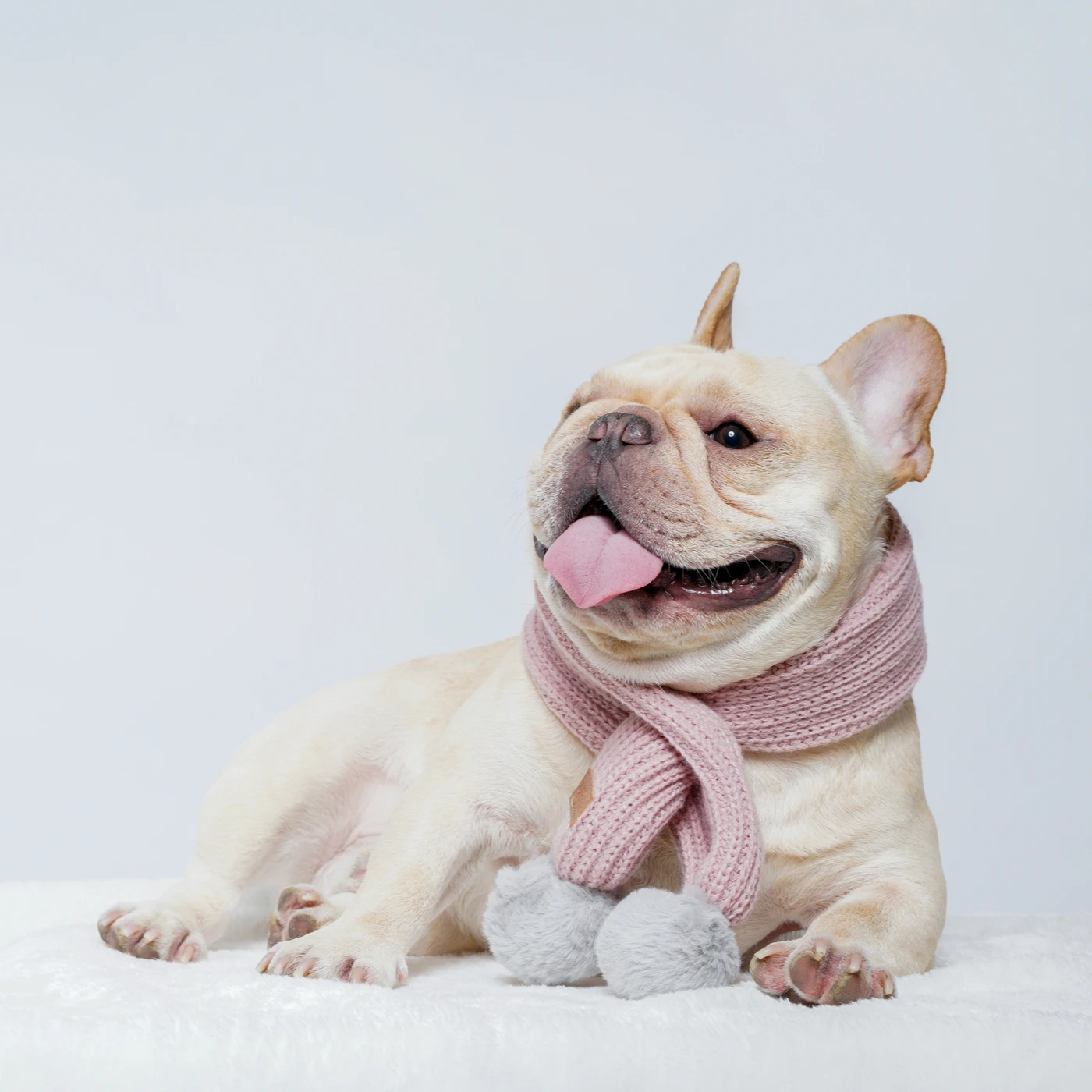 UFBemo Hot Sale Pink Bunny Fluffy Ball Scarf Cute Fashion Winter Dog Knitted Pet Warm Scarf