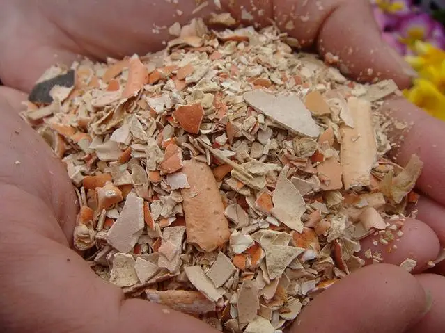 
Shrimp Shell/ Crab Shell Powder For Animal Feed 