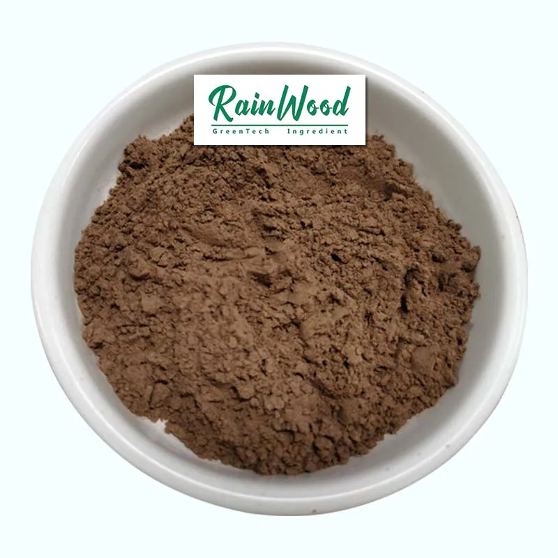 Rainwood supply bee propolis extract powder high quality bee propolis for best price bee propolis with reliable quality