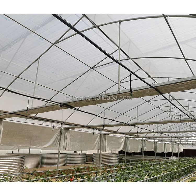 IGREEN Vertical Farming Hydroponic Tower Green Modular House Film Large Multi-span Plastic Greenhouse for Plants Single Layer