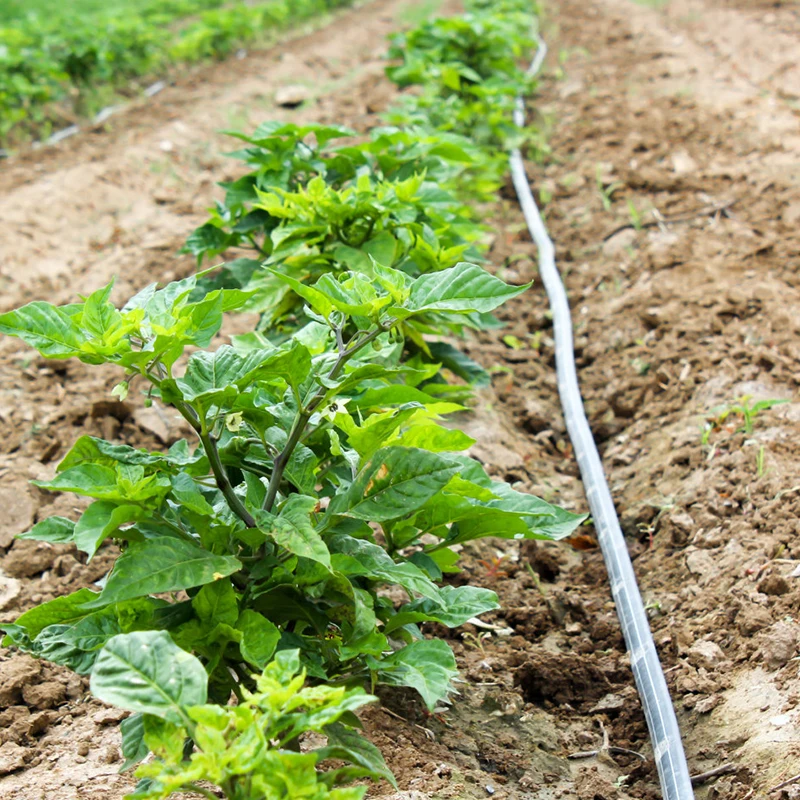 2024 new agriculture drip irrigation system agriculture flat emitter drip tape