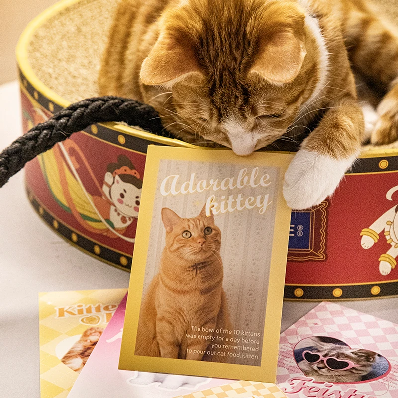 Mr. Paper 4 Design 20Pcs/Box Postcard Kawaii Animal Series Colorful Cartoon Cat and Puppy Postcard for Kid DIY Decoration