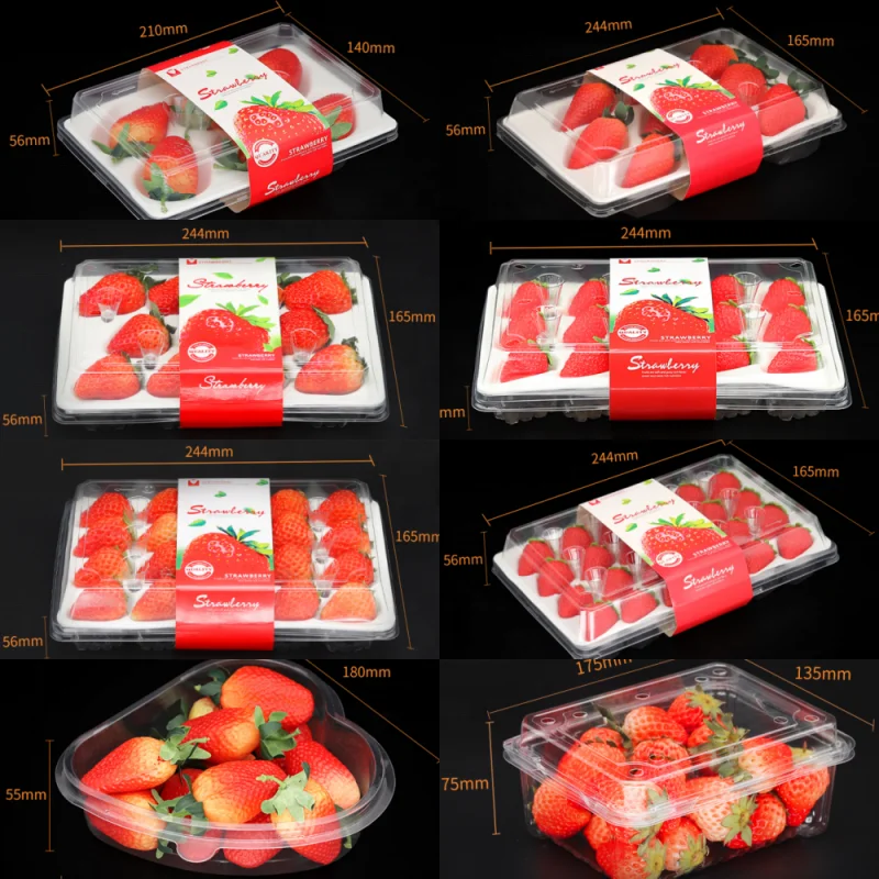 Manufacturer food grade Clear PET Blister Box Fruits Packaging Container Strawberry holder Plastic Boxes for Supermarket