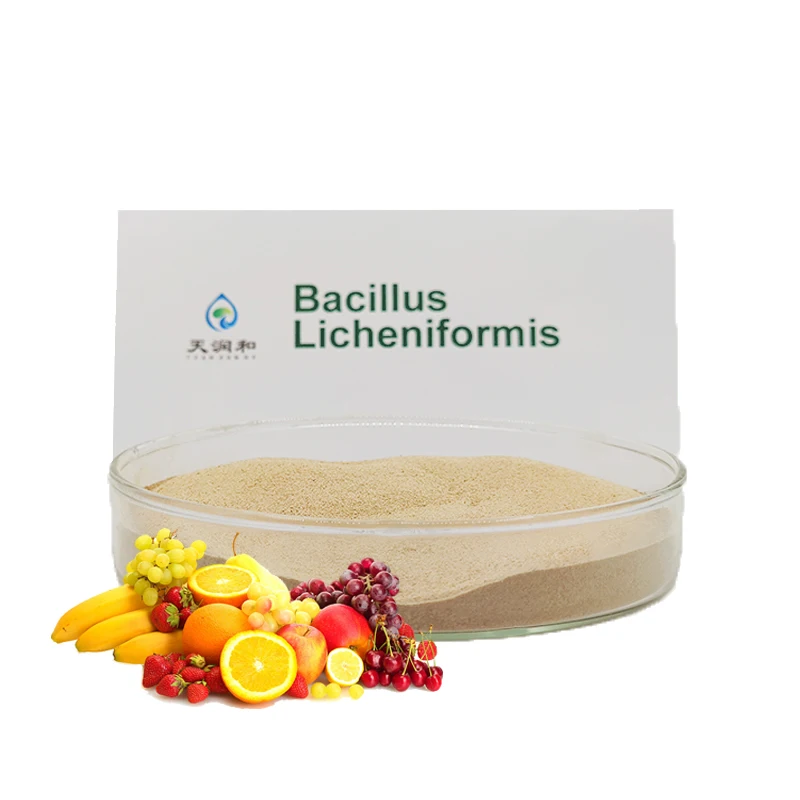 Probiotics Bacillus Licheniformis Beneficial Bacteria For Strawberry