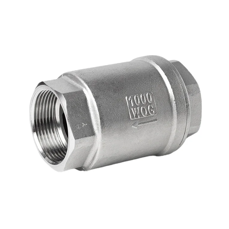 Stainless Steel Vertical Check Valve DN10 to dn80 Screw End Water Pump Check Valve Spring