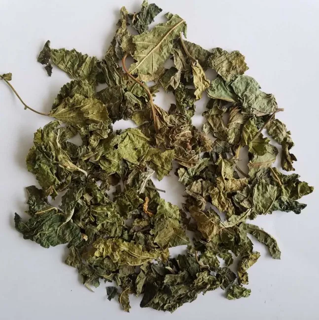 
Chinese Herbal Materials Folium Mori 