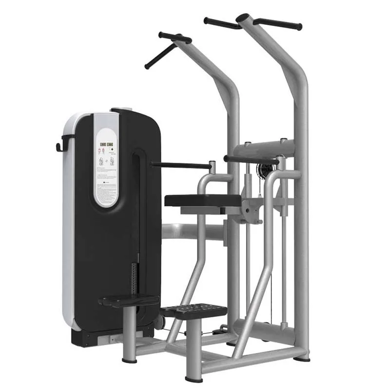 Advanced Type Muscle Pin Loaded Large Commercial Use Machine Iso-Lateral Assisted Dip Chin With Free Painting Color