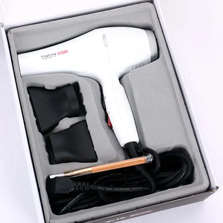 2022 Hair Care High Power Temps Control Hair Salon Equipment Professional Blow Salon Hair Dryer