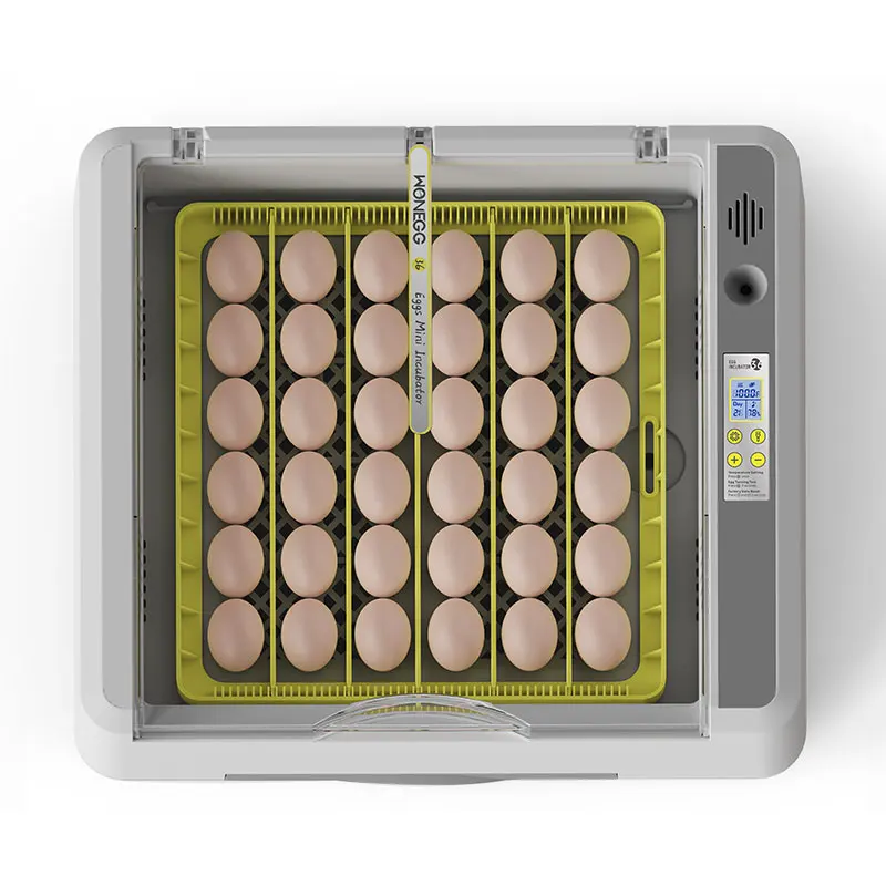Новый инкубатор для YZ-36 яиц WONEGG 2023 по заводской цене с высоким Квали и высокой скоростью вылупления домашнего использования