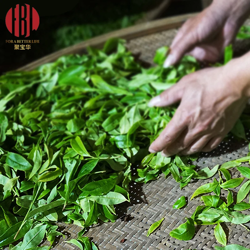 Organic Fujian Oolong Tea Phoenix Dan Cong Oolong Tea