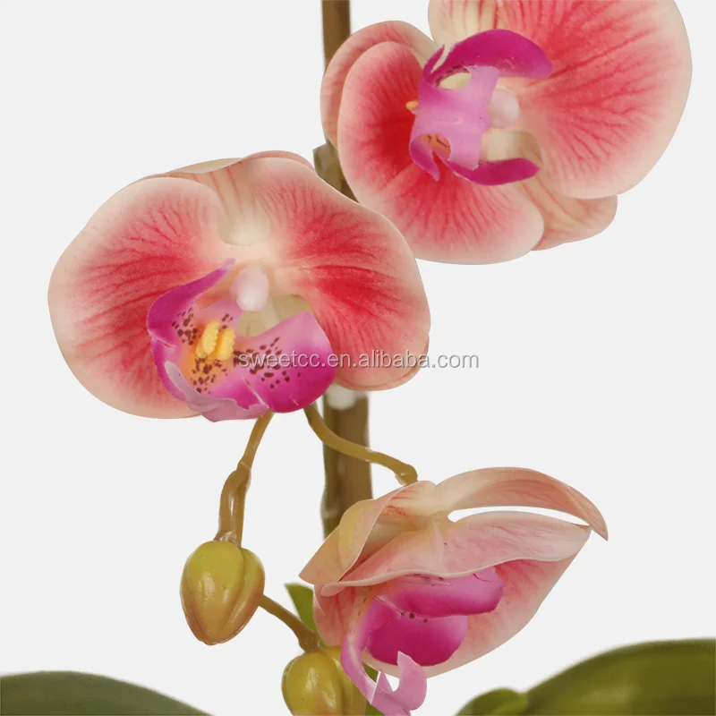 55cm real touch pink orchid plant artificial phalaenopsis orchids in pot for home decoration