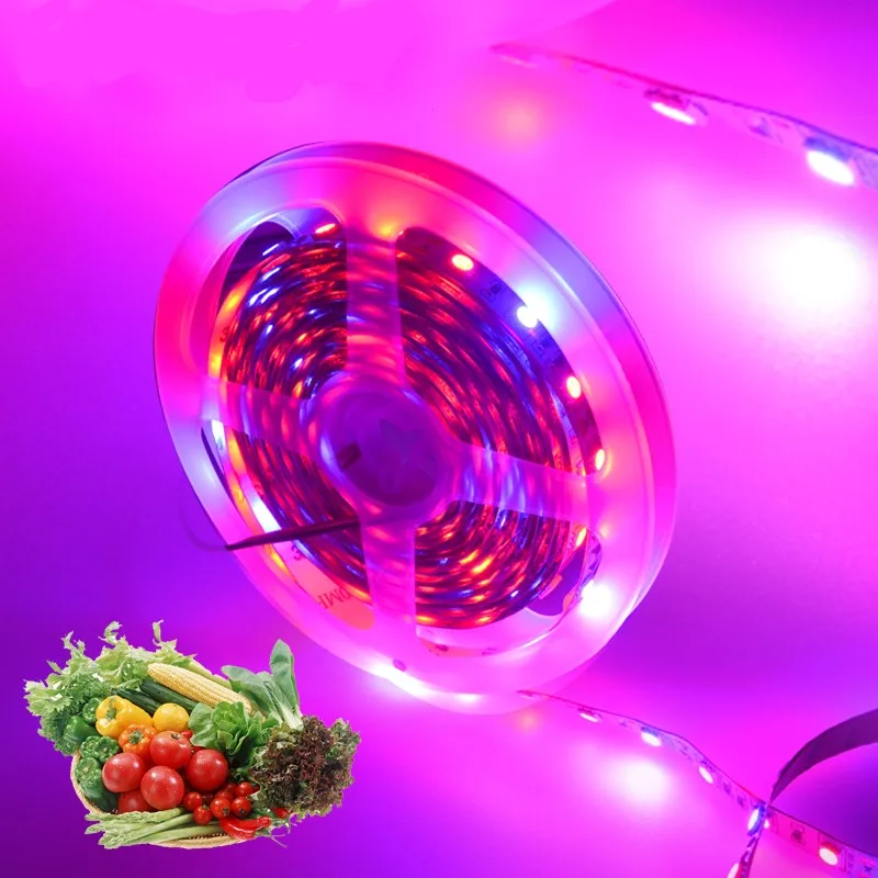 HOTOOK 12V 5m Plant Strip Lamp Flexible Waterproof 5050 DIY Greenhouse Indoor Full Spectrum LED Grow Light Bar