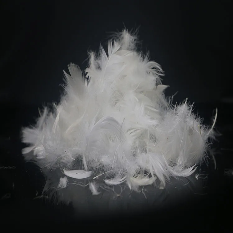 
hot sale Natural High Filling Power 5% Down White Goose Feathers Down 