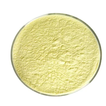 Ginkgo Biloba Extract Cas 90045-36-6