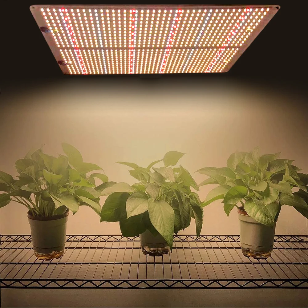 480W 6063 Aluminum Heatsink LED Grow Lights Samsung Lm301B LM301H Osram LED For Indoor Plants