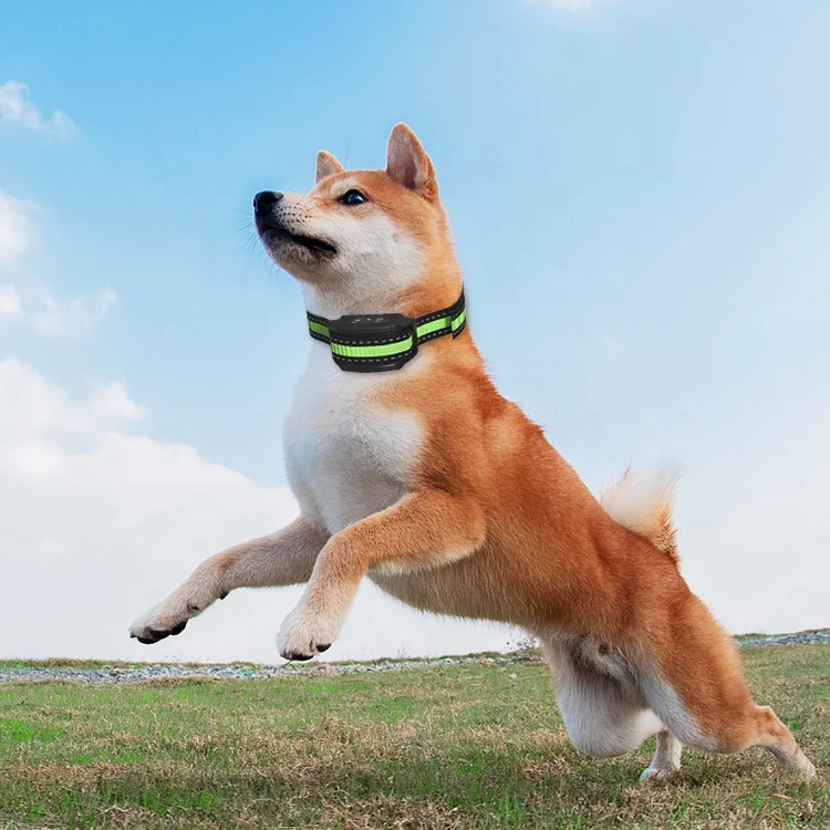 Ошейник для собак