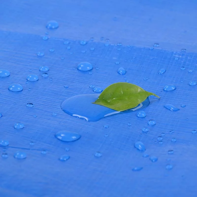 PE Tarpaulin Rainproof Outdoor Garden Plant Shed Boat Car Truck Cover Tarps Waterproof Tarpaulins