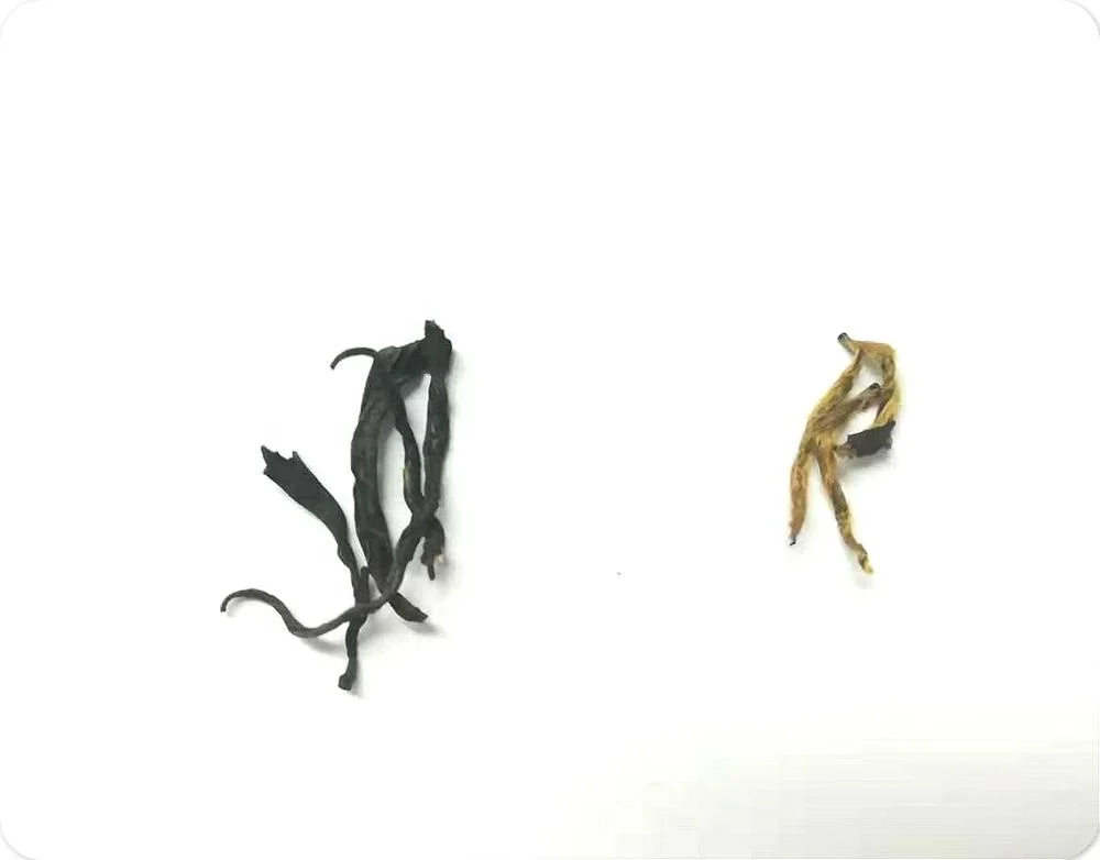 Golden Monkey Paw chinese high quality organic black tea