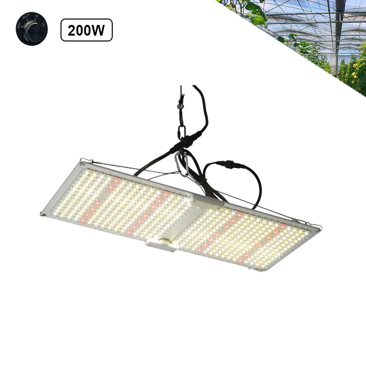 Grow Light Full Spectrum LED Indoor Plant Seeds Greens LED Grow Light LED Gow Light 200w