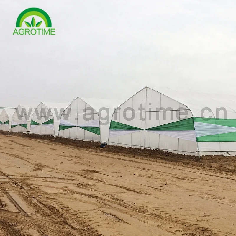 Strong packing poly tunnel hobby greenhouse commercial agricultural green house with vertical tower hydroponic growing system