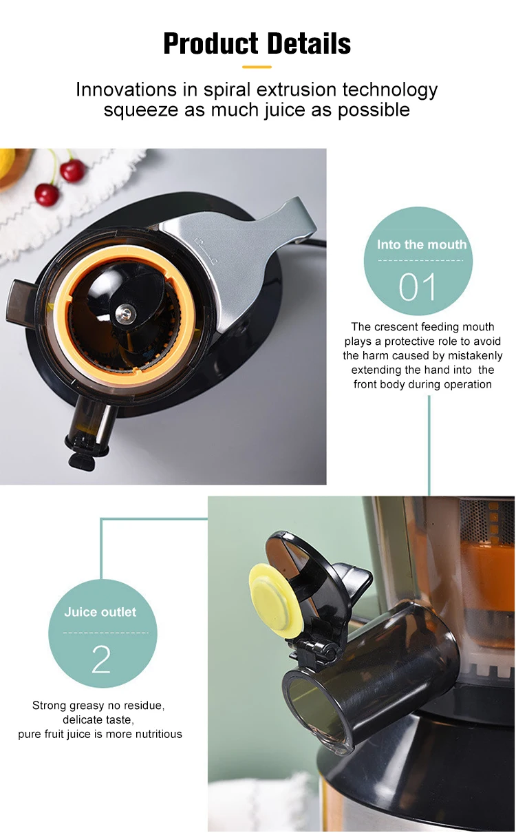 2022 Modern Stainless Steel Smoothie Commercial Masticating Juicer Cold Press Slow Extractor