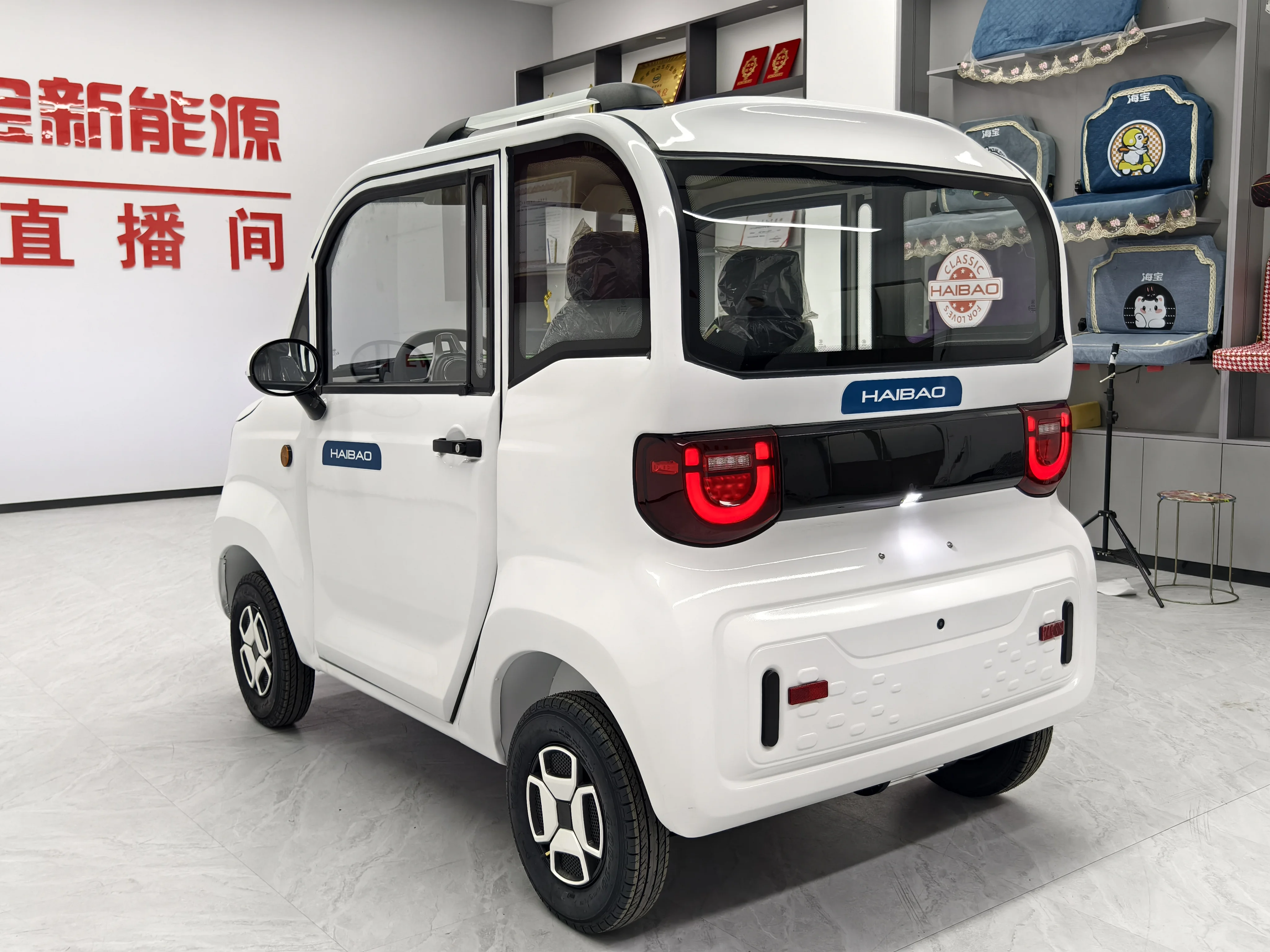 2024 Chinese Electric 2-Door Car - 3000W Motor, EEC Certified, 45km/h, Luxury Seats