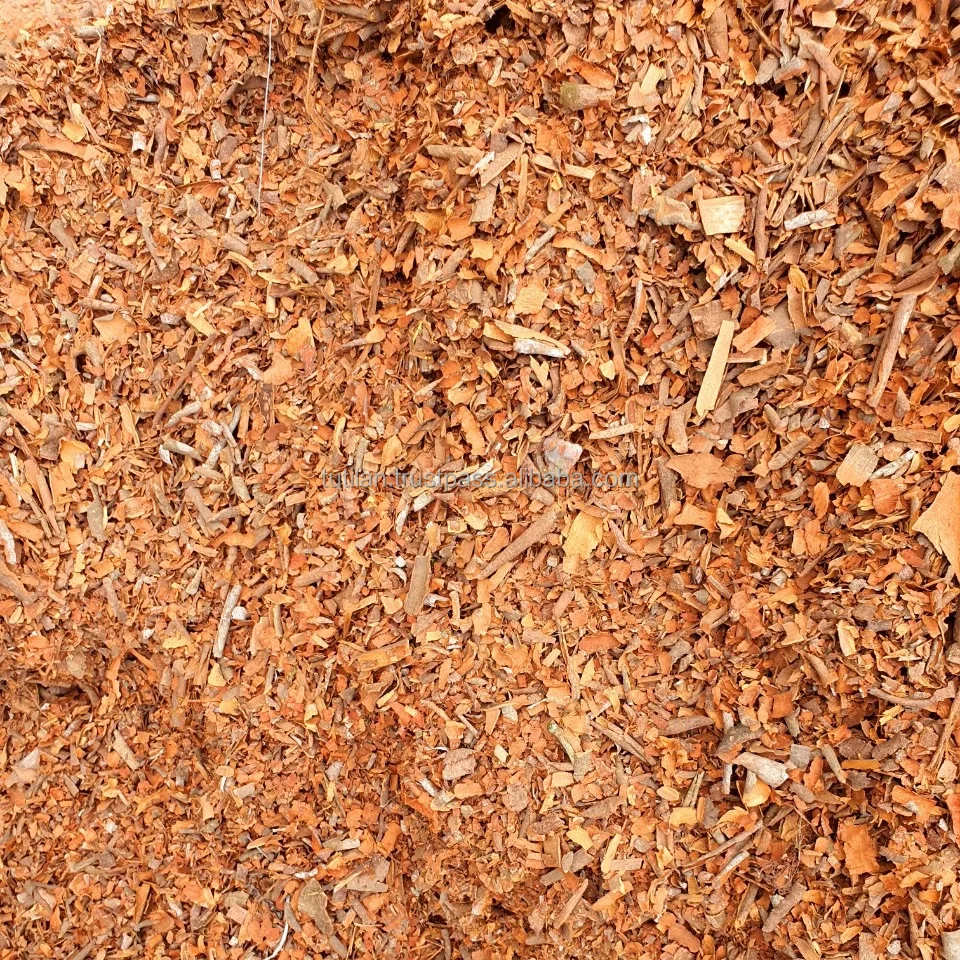 TOP SALE SINGLE SPICES & HERBS HIGH QUALITY NATURAL BROKEN CASSIA SKIN MADE IN VIETNAM